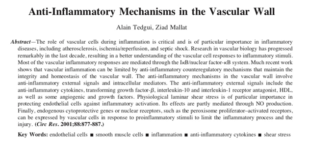 Mécanismes anti inflammatoire du système vasculaire