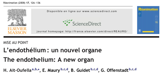 Endothelium, un nouvel organe.