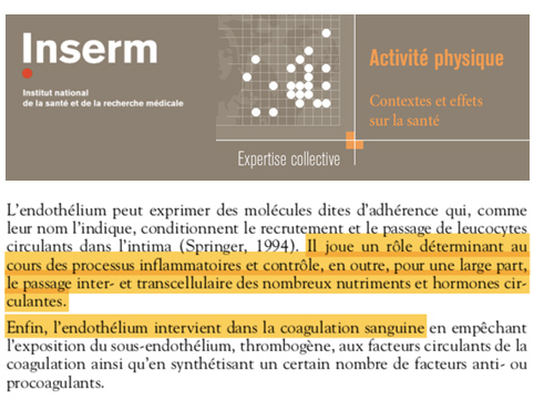 Etude Inserm Activité physique et endothelium